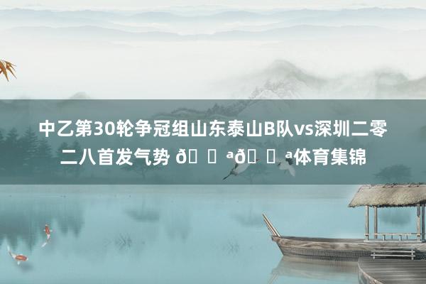 中乙第30轮争冠组山东泰山B队vs深圳二零二八首发气势 💪💪体育集锦