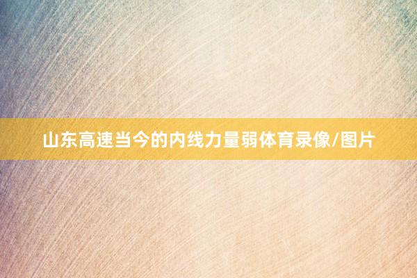 山东高速当今的内线力量弱体育录像/图片