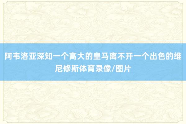阿韦洛亚深知一个高大的皇马离不开一个出色的维尼修斯体育录像/图片