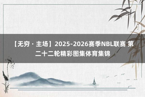 【无穷 · 主场】2025-2026赛季NBL联赛 第二十二轮精彩图集体育集锦